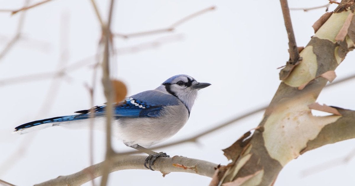 Какой сегодня, 13 февраля, день ангела