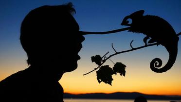 Куча картона превратилась в сказочных героев