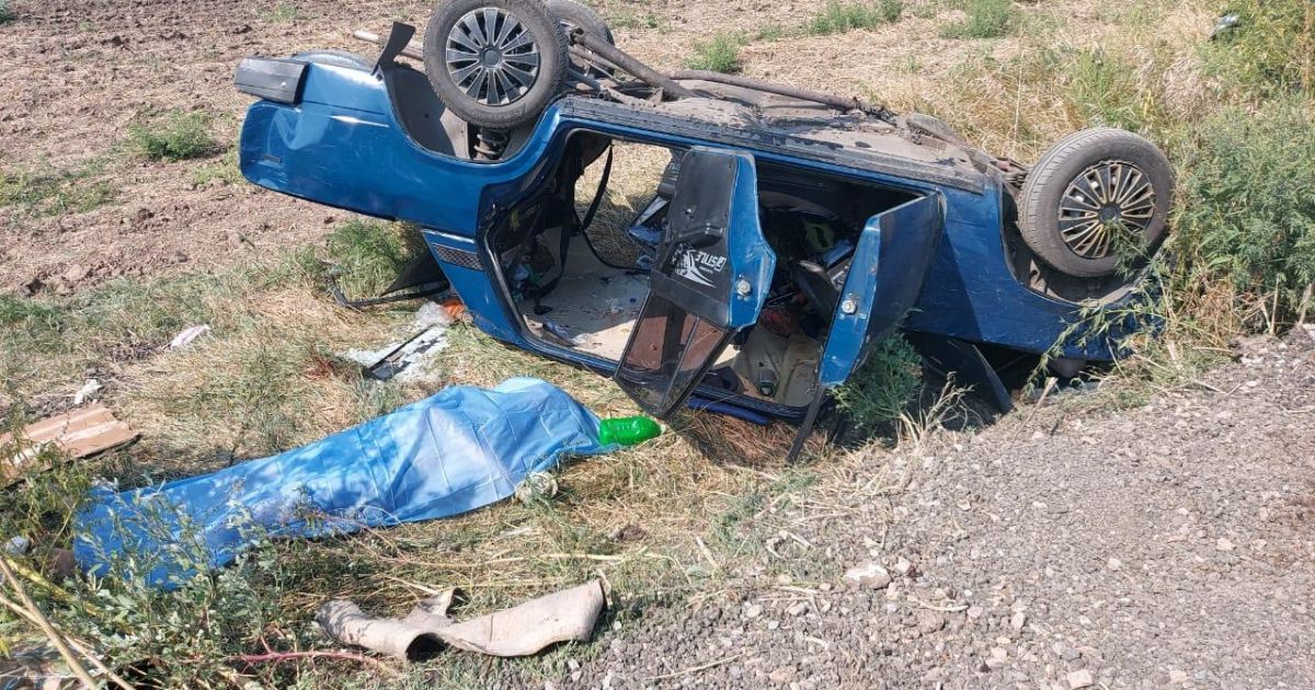 ДТП у Херсонській області: від удару автівки злетіли у кювет, є жертви (фото)