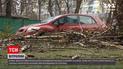 В Киеве из-за сильных порывов ветра погиб человек | Новости Украины