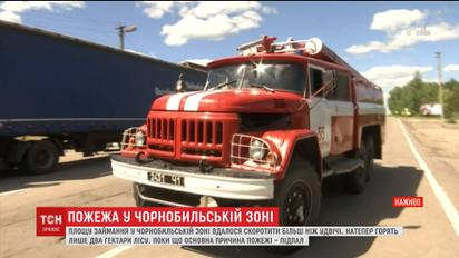 У ДСНС пояснили, чому так довго триває гасіння пожежі біля Чорнобиля