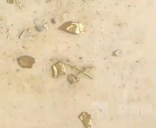 Золото зі шлунку качки / &copy; scmp.com