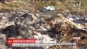 Пятеро жителей Одесской области госпитализированы с подозрением на опасную болезнь