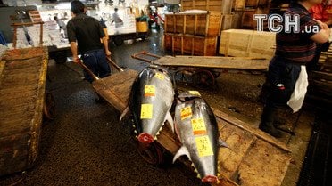 Ринок морепродуктів у Токіо_10