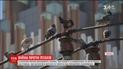 Тайская война с птицами. В Бангкоке массово вылавливают голубей