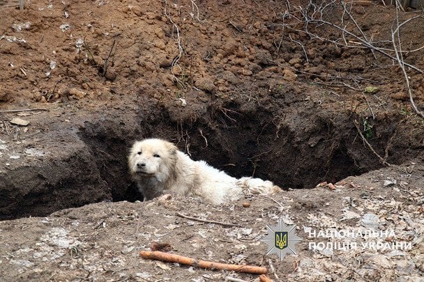 Поліцейські врятували з-під вогню собаку, якого залишили господарі / © Національна поліція України