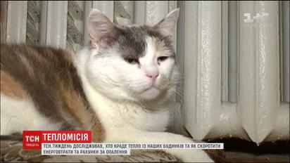 Оплата за услугу и новые штрафы: что нужно знать о новом законе об отоплении