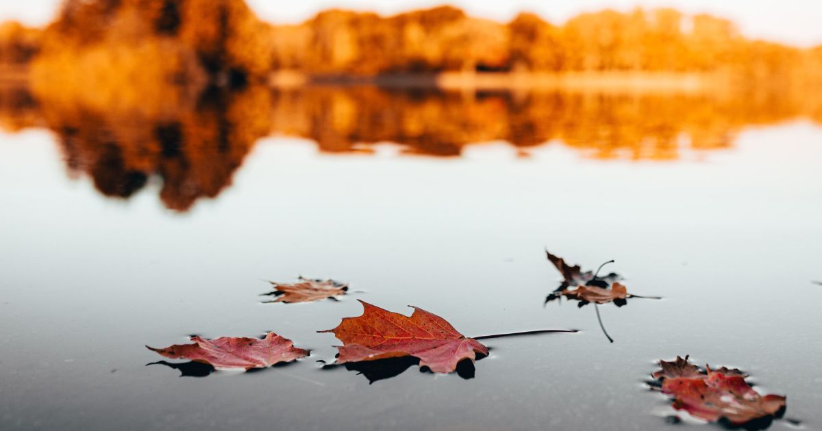 21 жовтня: який сьогодні день, свято, прикмети, традиції, День ангела