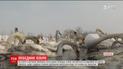 На Буковині зимує рекордна кількість диких лебедів