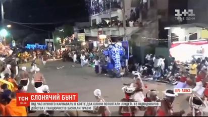 Під час нічного карнавалу в столиці Шрі-Ланки два слони потоптали людей