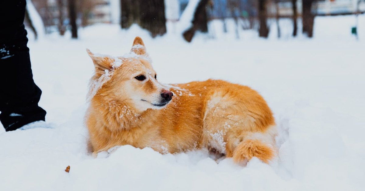 Який сьогодні, 19 січня, день ангела