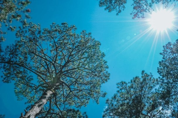 29 марта в Украине переходят на летнее время / © pexels.com