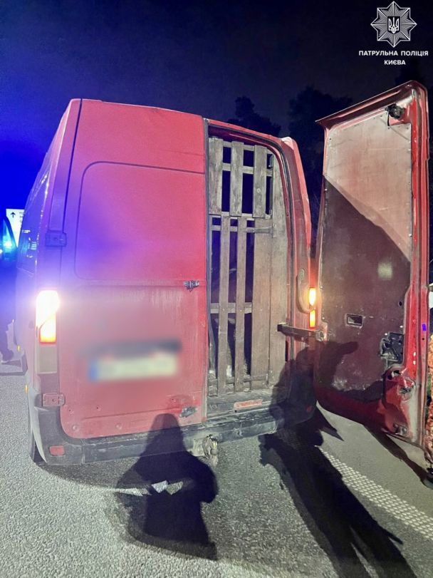 Поліція Києва затримала водія вантажівки, який нелегально перевозив 9 оленів / © Facebook / Патрульна поліція Києва