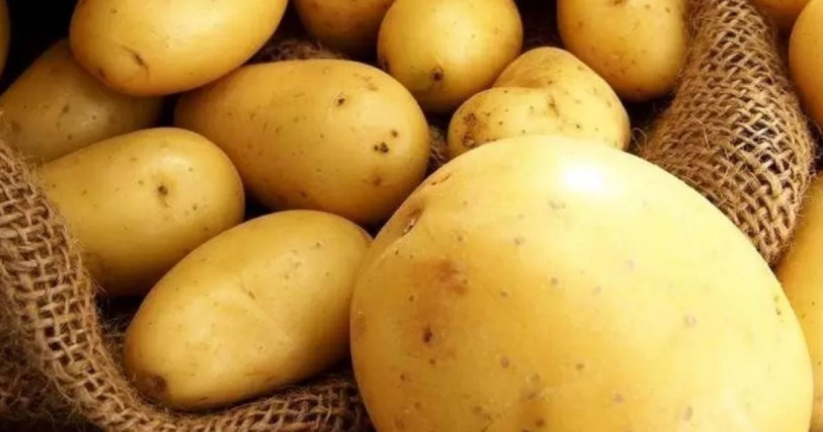 Зростання цін на картоплю
