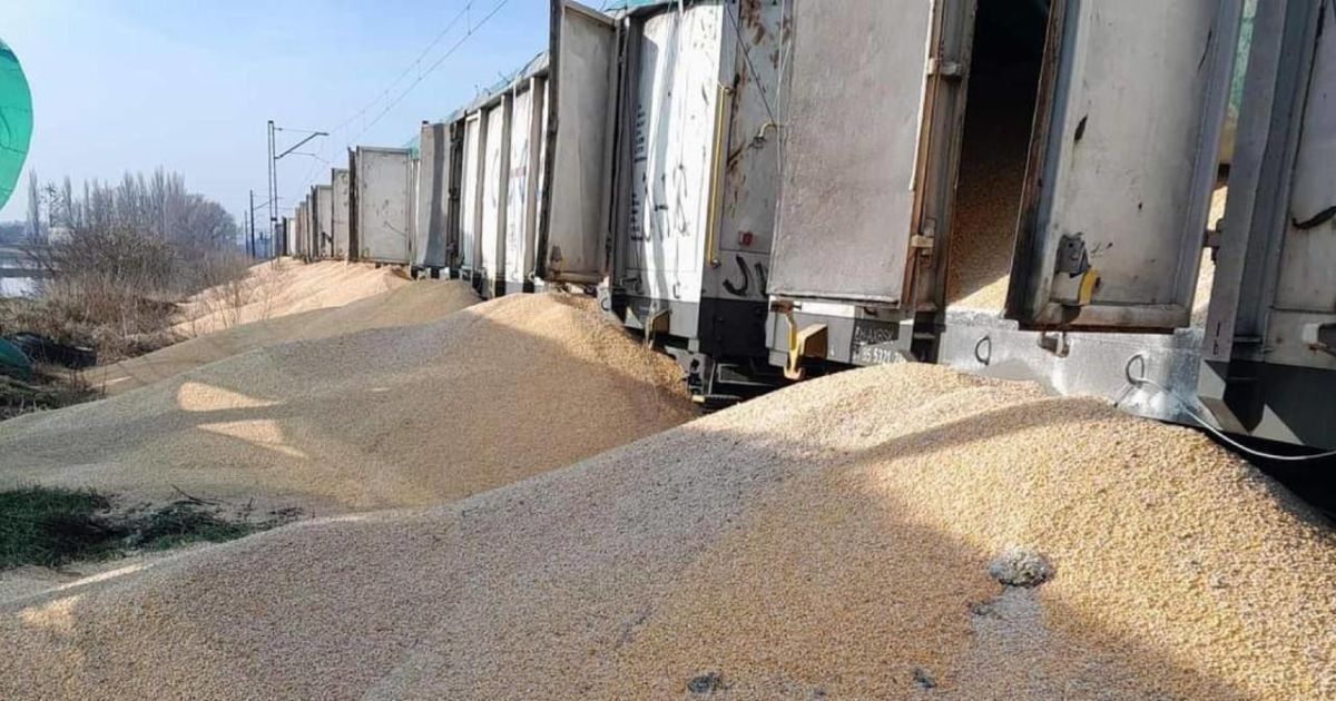 Ukrainian corn was dumped on the ground on the railway in Poland / Photo: "Ukrzaliznytsia"