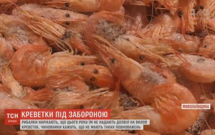 Прогалина в законі залишила без заробітку цілі риболовецькі поселення на Миколаївщині