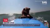 Новости мира: в Калифорнии собаки-серфингисты соревновались в ловкости держаться на доске