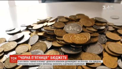 Бюджет-2019: скільки кожен українець заплатить у державну скарбницю