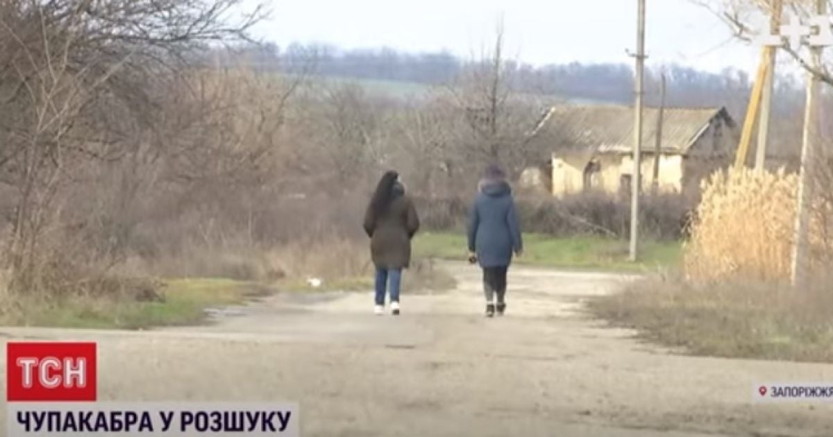 Фото: скріншот з відео