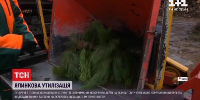 Утилизация новогодних деревьев: в Киеве заработали пункты бесплатной переработки елок