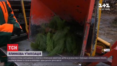 Утилізація новорічних дерев: у Києві запрацювали пункти безкоштовної переробки ялинок