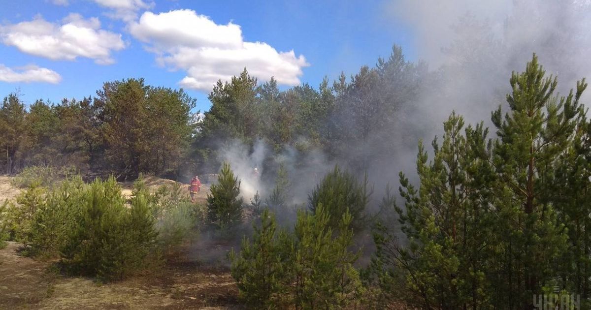 Спасатели локализовали пожар в Чернобыльской зоне