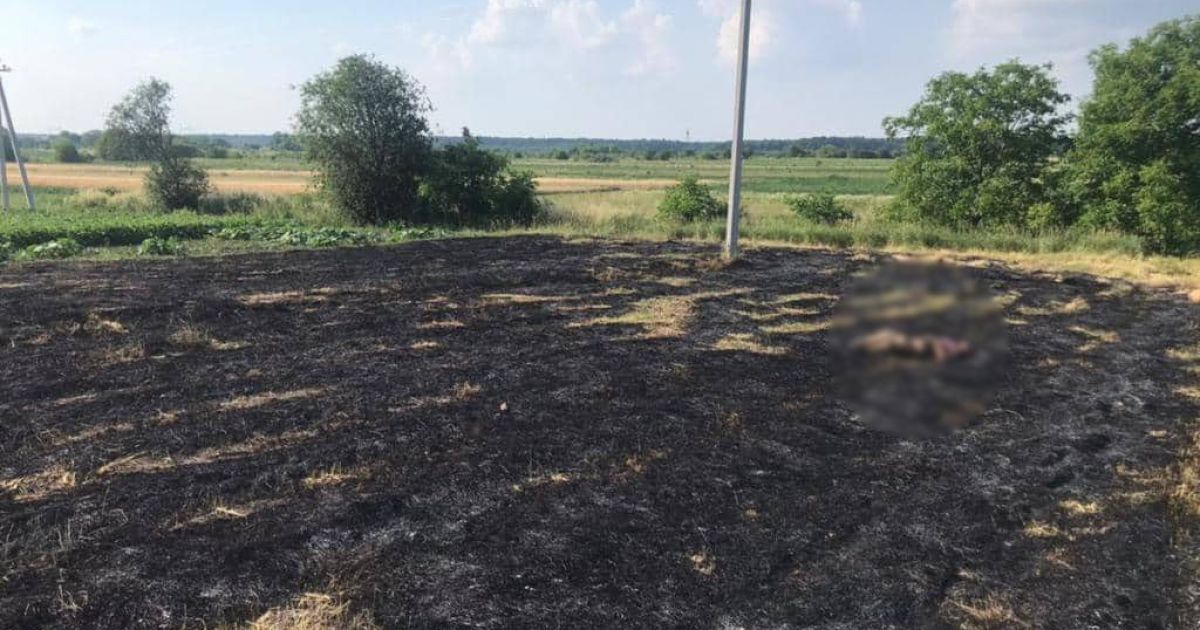 Підпалила суху траву: у Львівській області трагічно загинула жінка