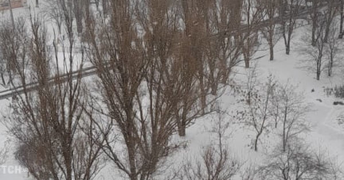 сніг у Херсоні