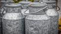 Рассматривают альтернативные варианты вплоть до бидонов: в России дефицит тары для молока и соков