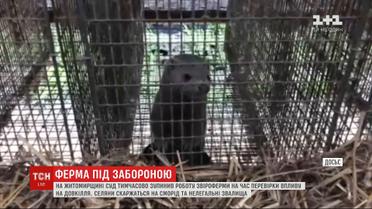 Под Житомиром суд временно остановил работу меховой фермы