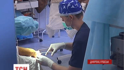 Вместо выборов на Днепропетровщине будут лечить раненых