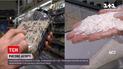 Новости Украины: как выбрать самый вкусный и полезный рис и что из него приготовить