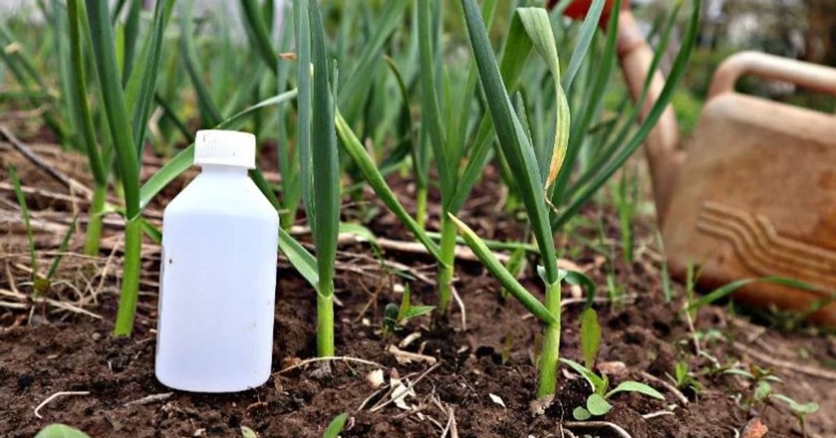 Аміак для рослин