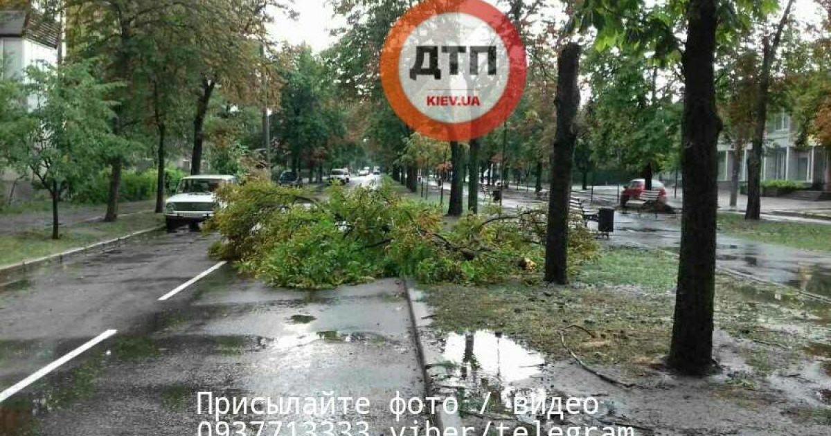 Затоплений Київ_12 / © dtp.kiev.ua