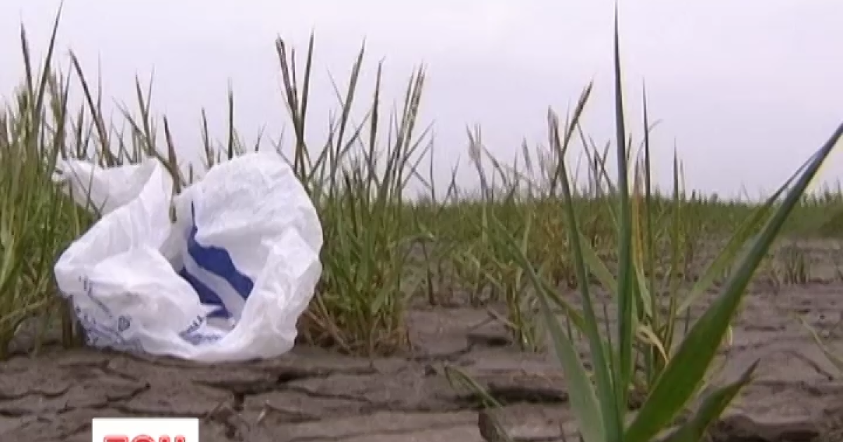 Thumbnail for "13_пакети"