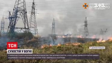 Новости Украины: в Днепропетровской области загорелся сухостой - обошлось без пострадавших