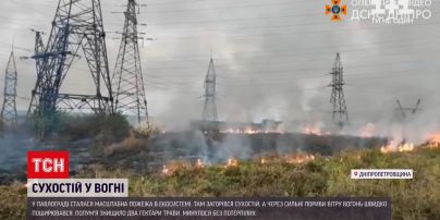 Новости Украины: в Днепропетровской области загорелся сухостой - обошлось без пострадавших