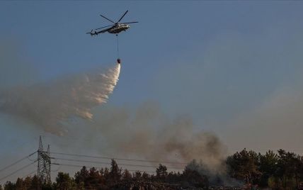 В Турции задержали 7 россиян, подозреваемых в поджогах лесов