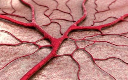 Ангиография периферических артерий и вен: важная диагностика сосудистых заболеваний 