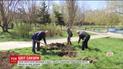 В Одесі з'явилася власна алея сакур