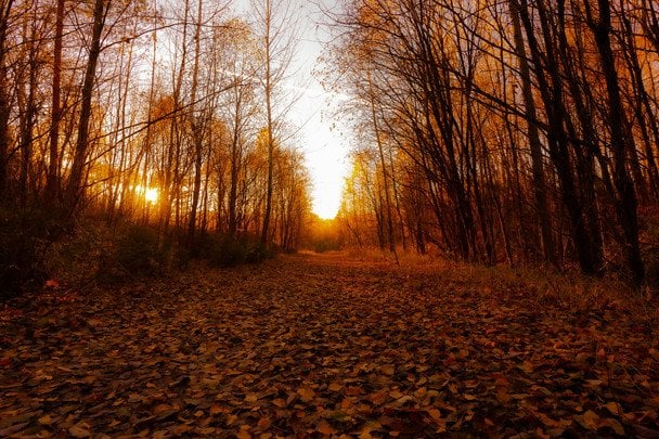 Народні прикмети 23 листопада / © unsplash.com