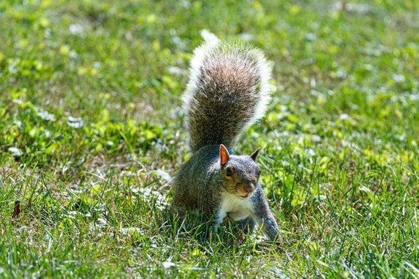 Народні прикмети 6 березня / © pexels.com