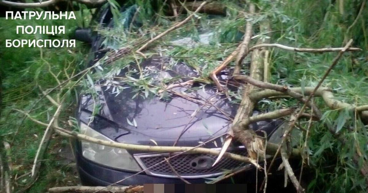 Зірвані дроти, повалені дерева і побиті машини: поліція показала наслідки негоди у Борисполі