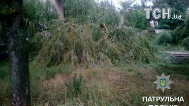 Бориспіль негода_5 / © Facebook/Патрульна поліція Борисполя