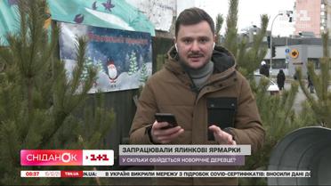 Заработали елочные ярмарки: во сколько обойдется новогоднее дерево