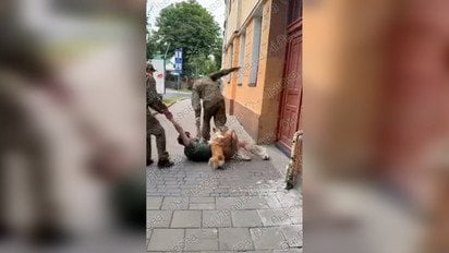 У Львові чоловіка витягли з під’їзду та силоміць затягнули до буса