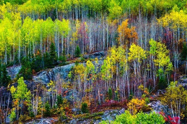 Народні прикмети 28 вересня / © unsplash.com