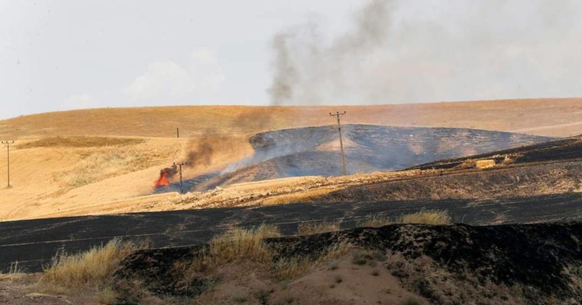 В Турции произошел пожар и перестрелка на пшеничном поле из-за земельного спора между двумя семьями