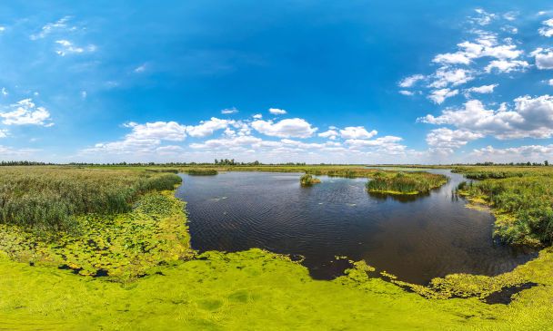 Національний Нижньодніпровський природній парк під загрозою зникнення після підриву Каховської ГЕС. Фото: wownature.in.ua / © 