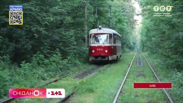 Курортна зона Києва – Пуща-Водиця: як можна дістатись і чи безпечно там нині